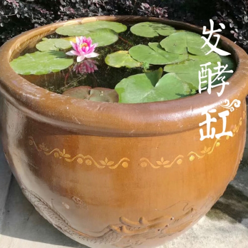 辽宁龙纹水缸