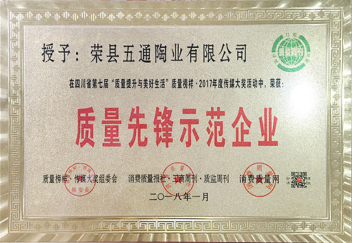 质量先锋示范企业